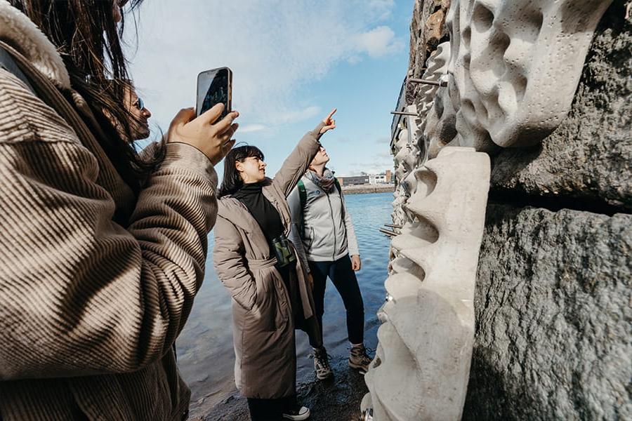 People point and photograph the sea wall in East Boston.